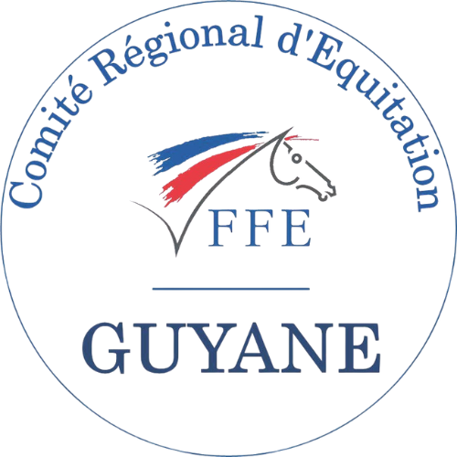 Développement du site web officiel du CREG